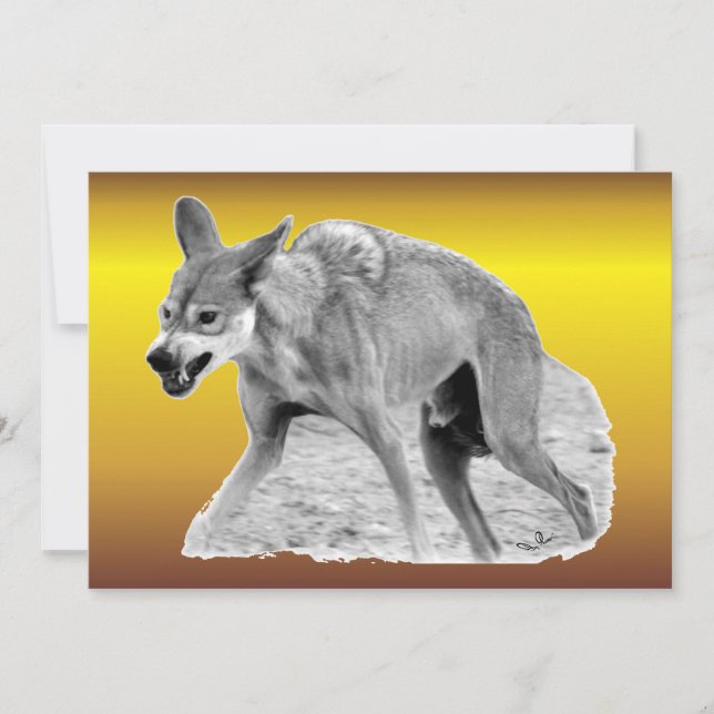 Wolf Snarl (Devant)