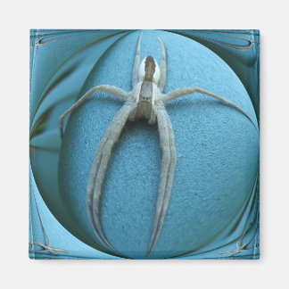 Wolf Spider ~ aimant