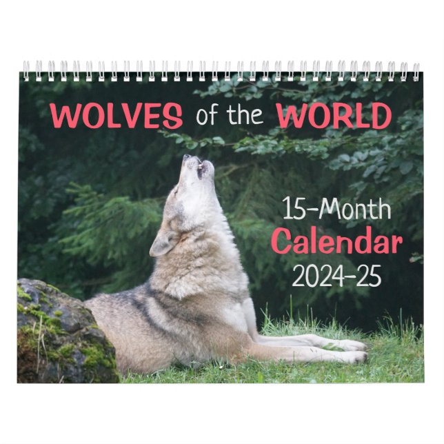 Wolves of the World 15 Mo. Calendrier 2024-25 (Protection)