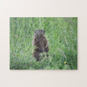 Woodchuck de la marmotte debout dans le puzzle de