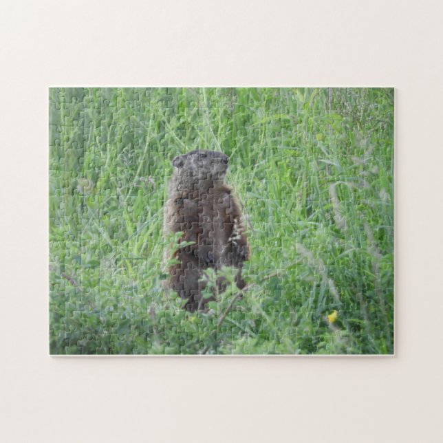 Woodchuck de la marmotte debout dans le puzzle de  (Horizontal)