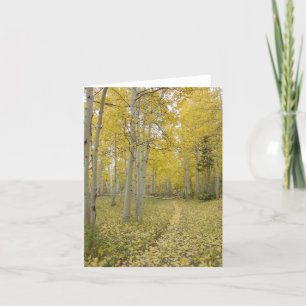 Woodland Path Christian Toutes les occasions Carte
