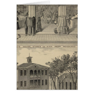 Woodland store, collège