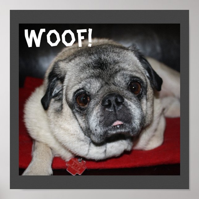 Woof, affiche Carlin (Devant)