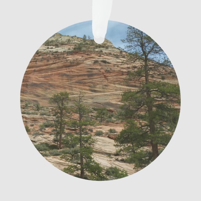 Worn Rock Walls dans le Parc national de Sion (devant)