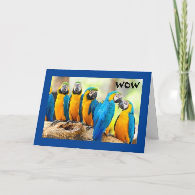 WOW—"21"-COMMENT LE COOL EST ÇA ! CARTE (Devant)