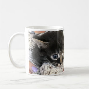 Wow, je vous admire ! Mug à café avec chat