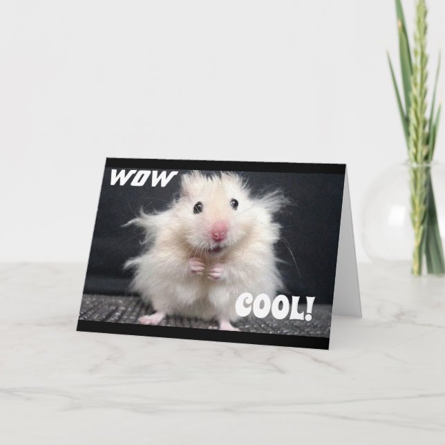 WOW YOU ARE **60** DIT CARTE COOL HAMSTER (Devant)