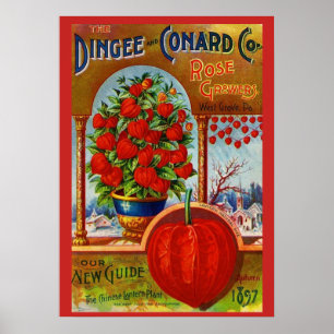 WQ POSTER : Lanterne chinoise