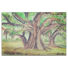 Wrap de la galerie Middleton Place