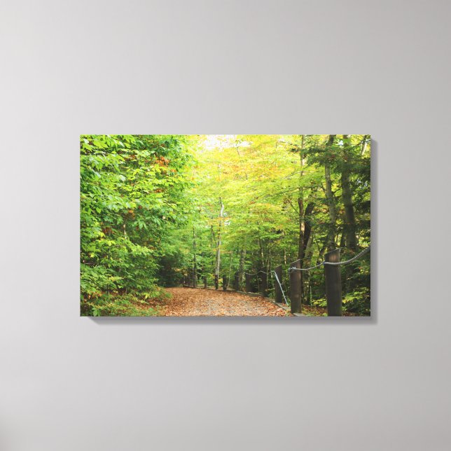 Wraps en toile de bois (Recto)