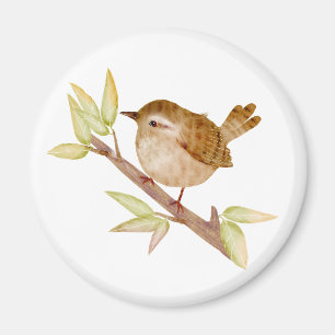 Wren Bird Magnets