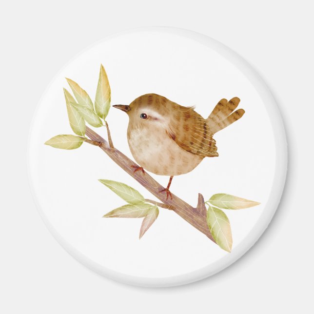 Wren Bird Magnets (Devant)