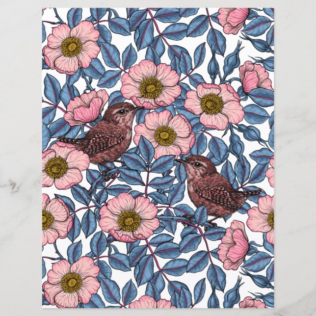 Wrens en rose (Devant)