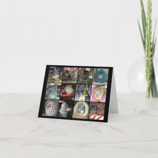 Wunderchins 2012 carte pour notes