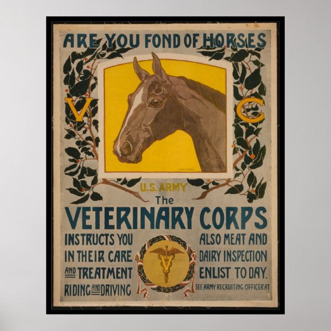 WW1 VINTAGE Vet. POSTER DU Corps (Devant)