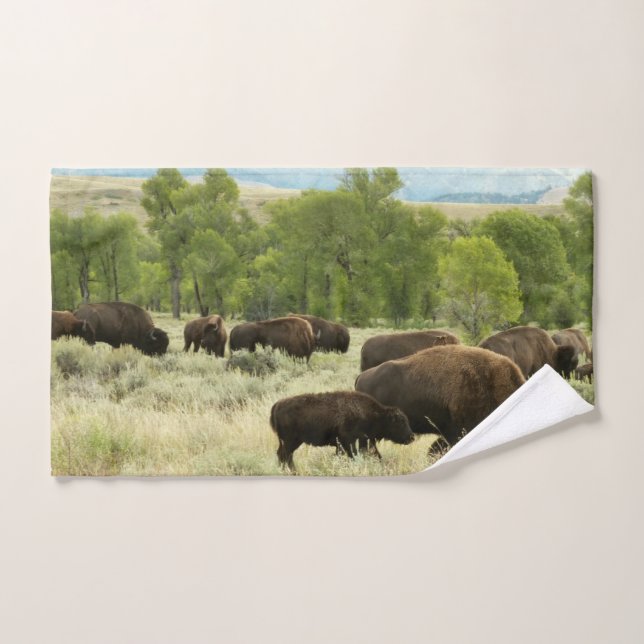 Wyoming Bison Nature Animal Photographie (Serviette à main)