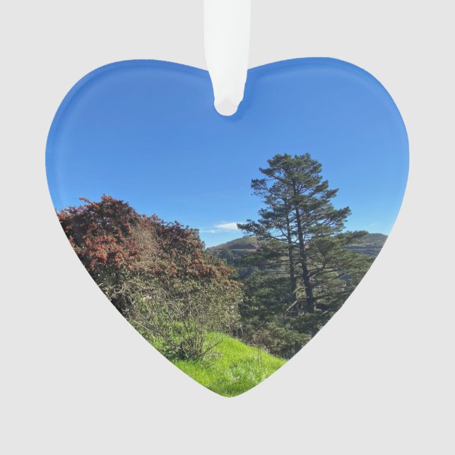 X.ITINERARIES : Les pics de SF (devant)