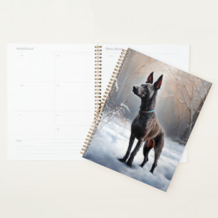 Xoloitzcuintli Laisser neiger Noël