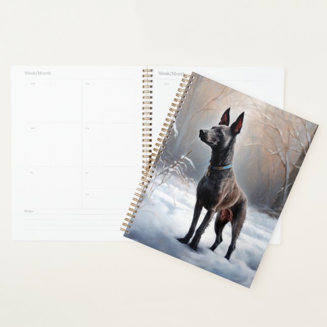 Xoloitzcuintli Laisser neiger Noël (Devant avec enveloppe)