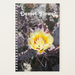 Yellow cactus