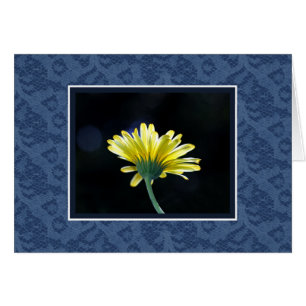 Yellow daisy Blue Lace