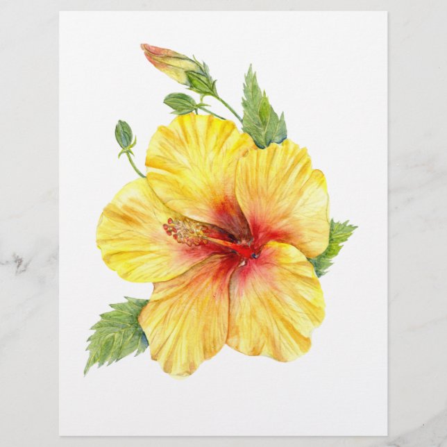 Yellow Hibiscus Botanical (Devant)