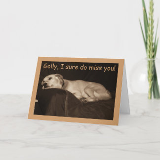 Yellow Lab Pit Husky I Miss Carte You