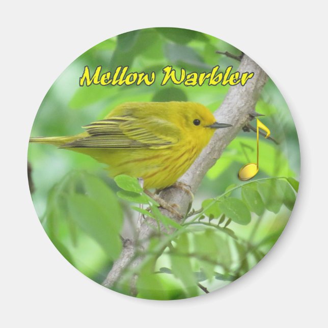 Yellow (Mellow) Warbler magnet (Devant)
