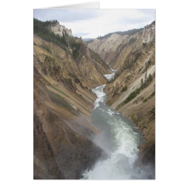 Yellowstone (Devant)