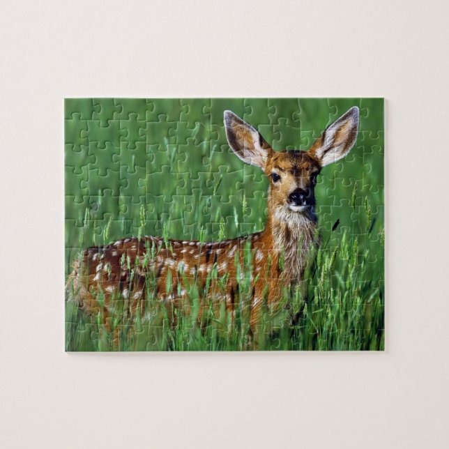 Yellowstone Game Puzzle (Horizontal)