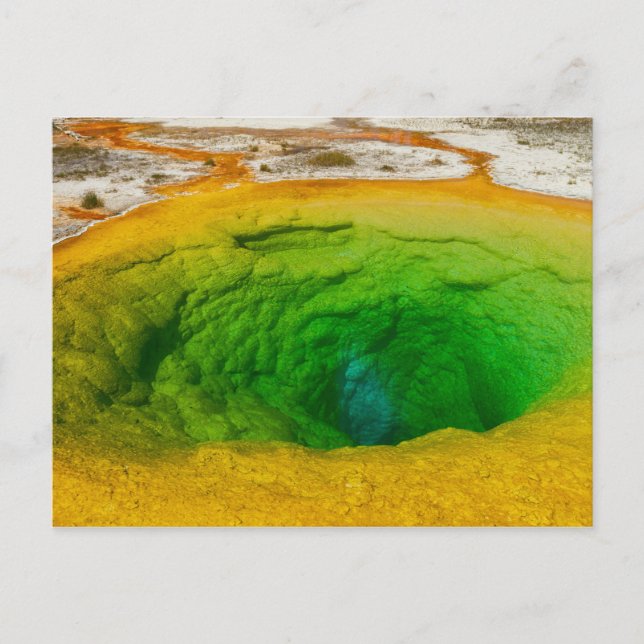 Yellowstone - Morning Glory Pool carte postale (Devant)