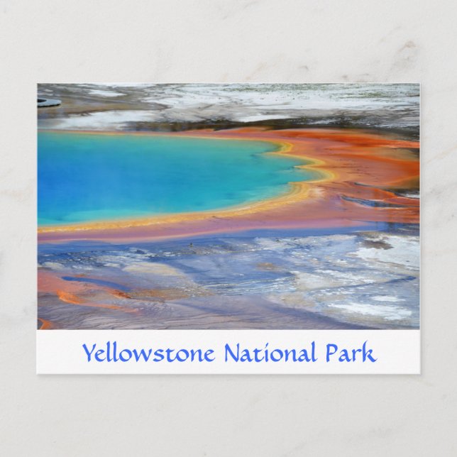 Yellowstone Prismatic Spring Carte postale Wyoming (Devant)