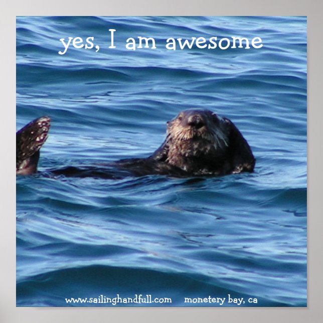 yes i am awesome sea otter poster (Devant)