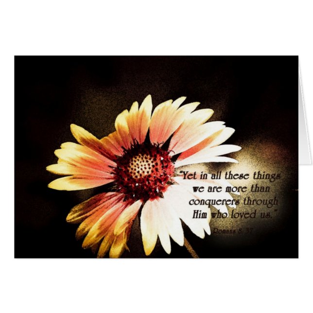 YetinallCesChosesZazzle (Devant Horizontal)