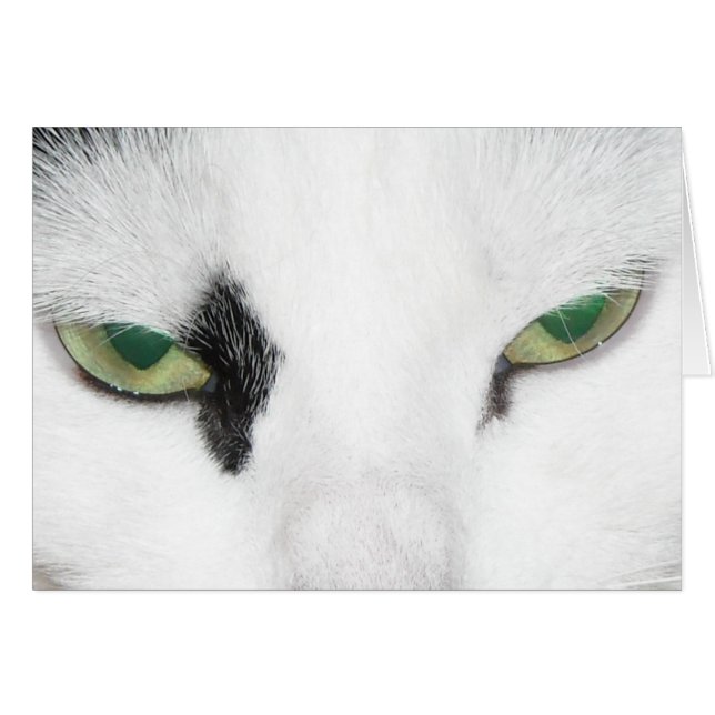 Yeux de chat (Devant horizontal)