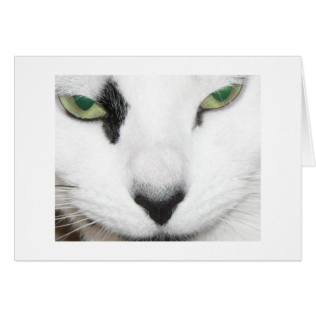 Yeux de chat (Devant horizontal)