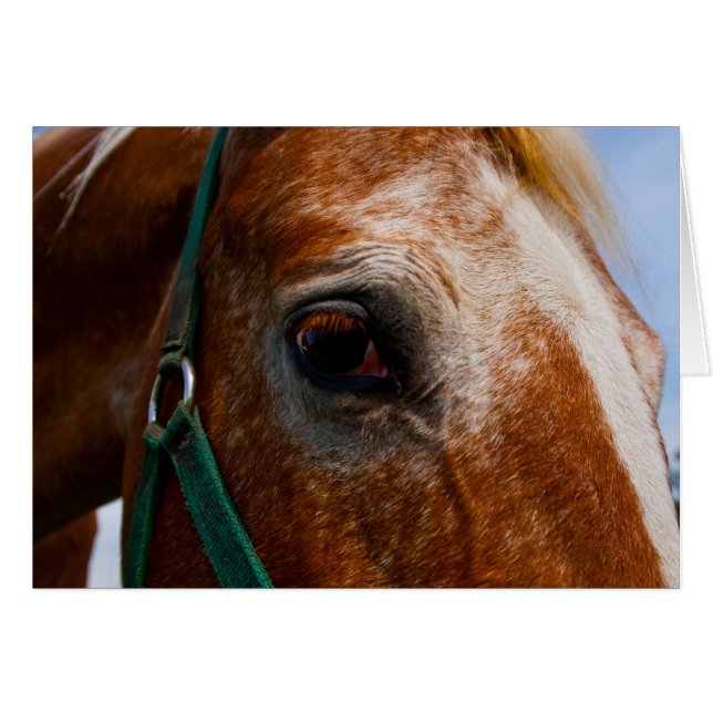 Yeux de feu (Devant horizontal)