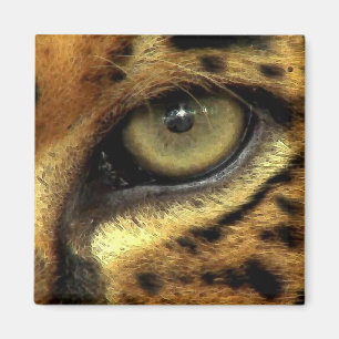 YEUX DE JAGUAR Big Cat Wildlife Magnet