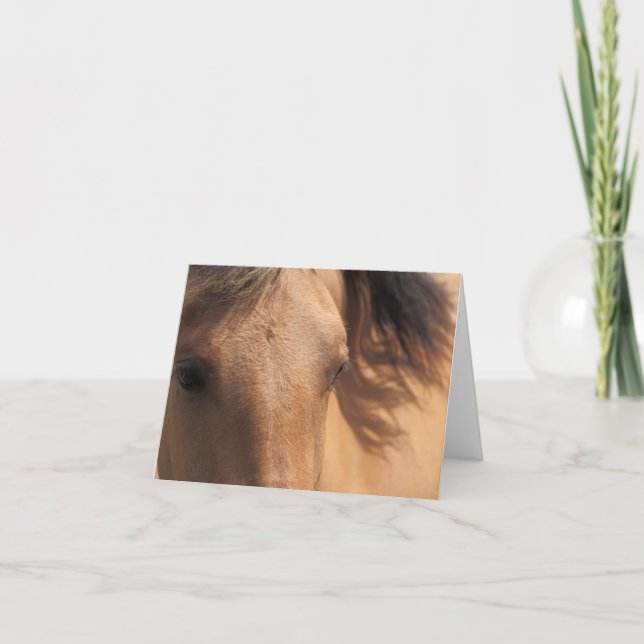 Yeux d'une carte de note Cheval Brown (Devant)