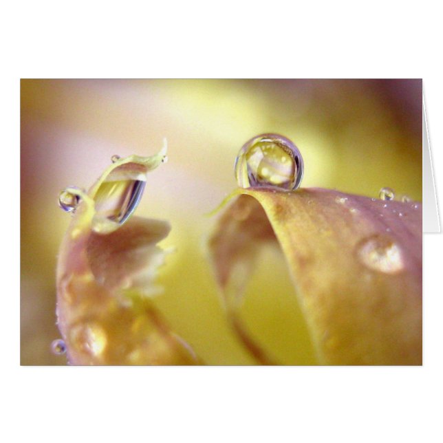 Yeux sur Iris Card (Devant horizontal)