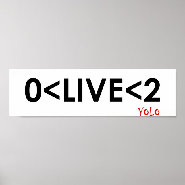 YOLO Math Funny Poster (Devant)