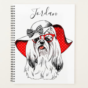 Yorkie Fashion Shoot Ajouter Votre Nom