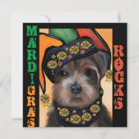 YORKIE POO         