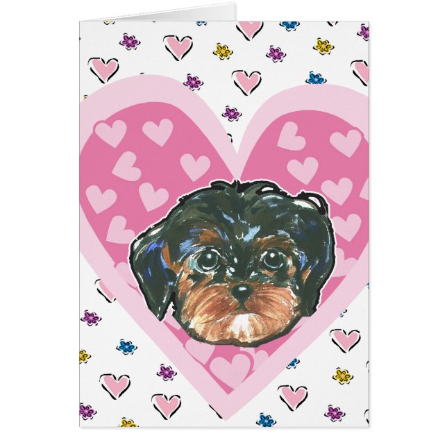 Yorkie Poo de la Saint-Valentin (Devant)
