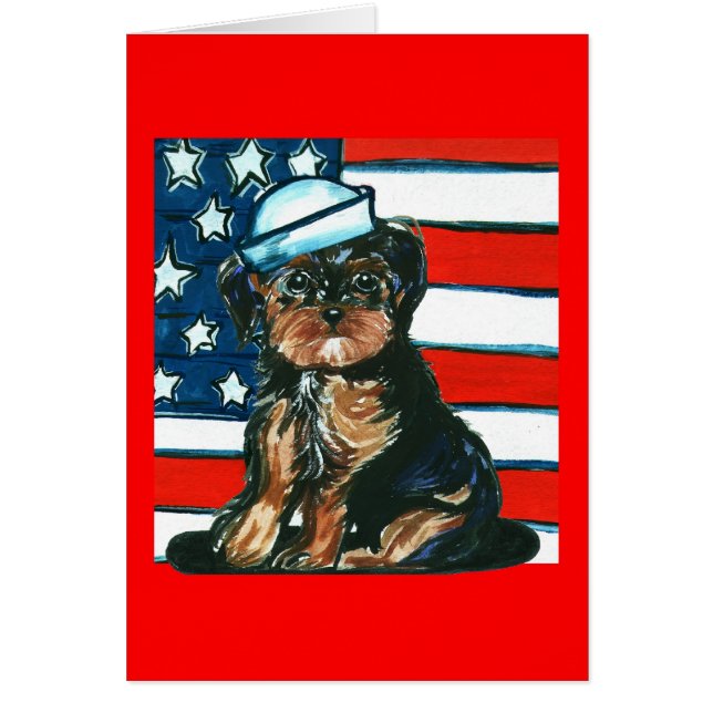 Yorkie Poo Rouge, Blanc & Bleu (Devant)