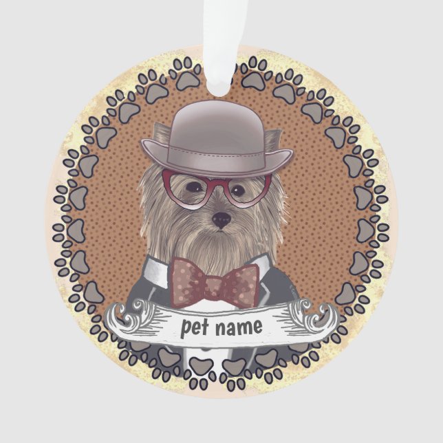 Yorkie porte des lunettes (devant)