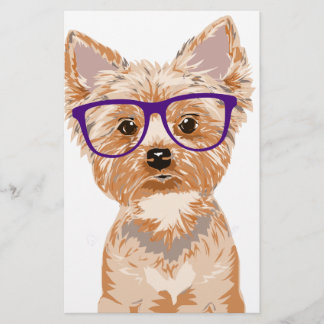 Yorkie porte des lunettes