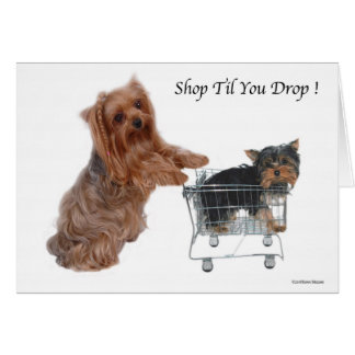 Yorkie Shop Jusqu'à ce que vous lâchiez