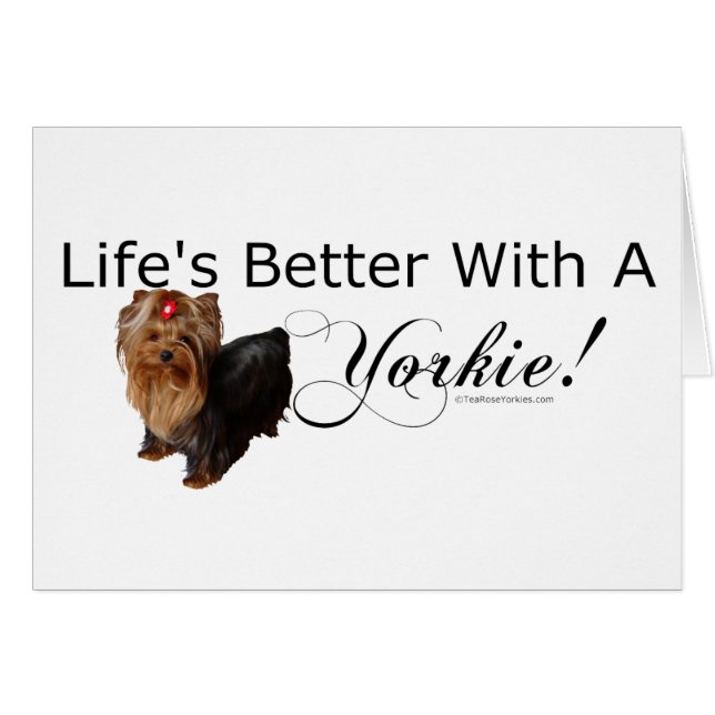 Yorkshire Terrier (Devant horizontal)